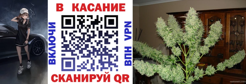 Магазины продажи наркотиков Новая Ляля Кокаин  ОМГ ОМГ ССЫЛКА  ГАШ  Меф мяу мяу 