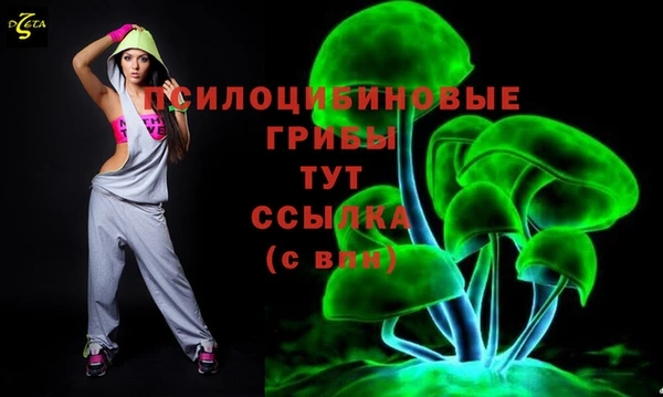 a pvp Алзамай